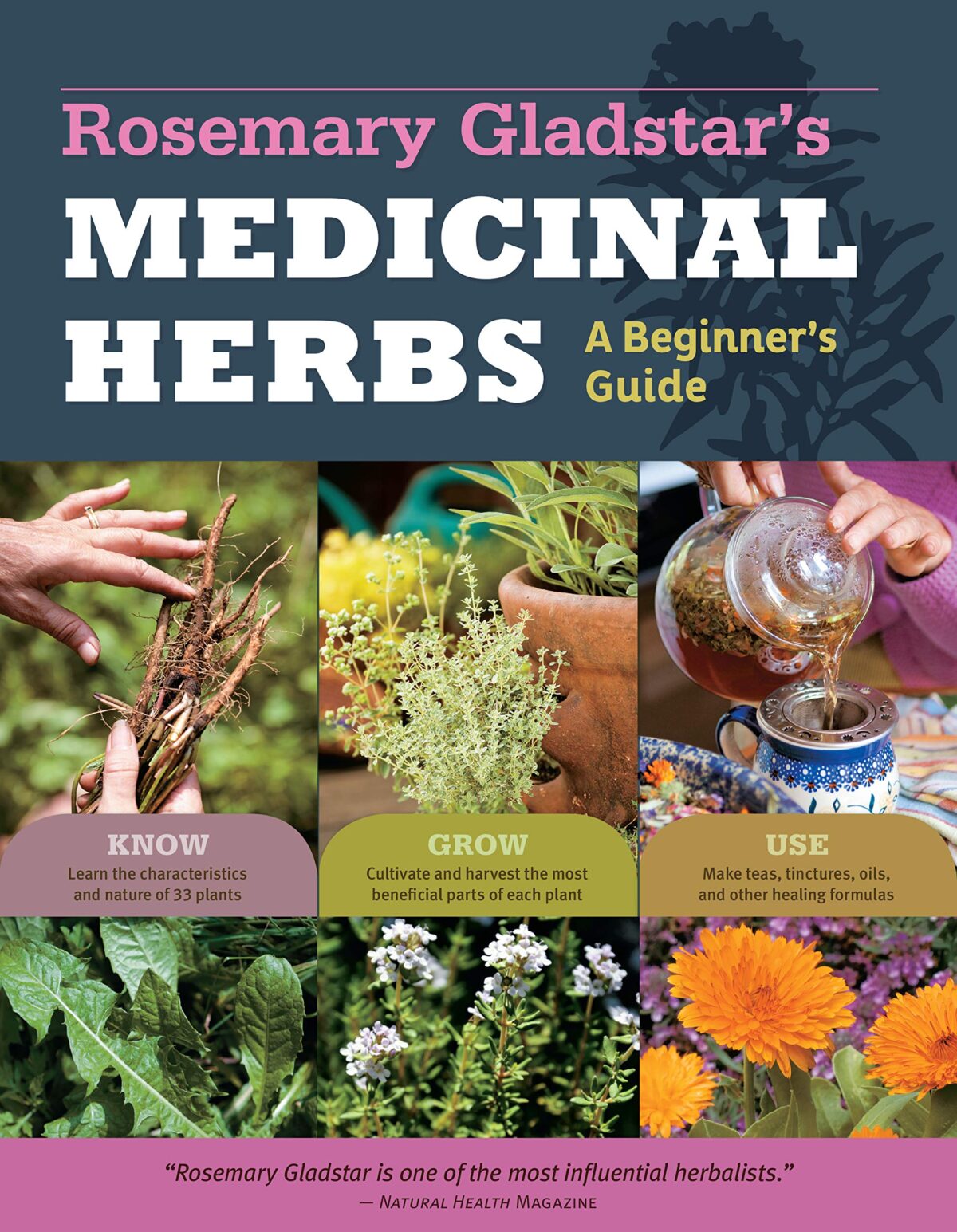 Rosemary Gladstar’s Medicinal Herbs: A Beginner’s Guide: 33 Healing Herbs to Know, Grow, and Use